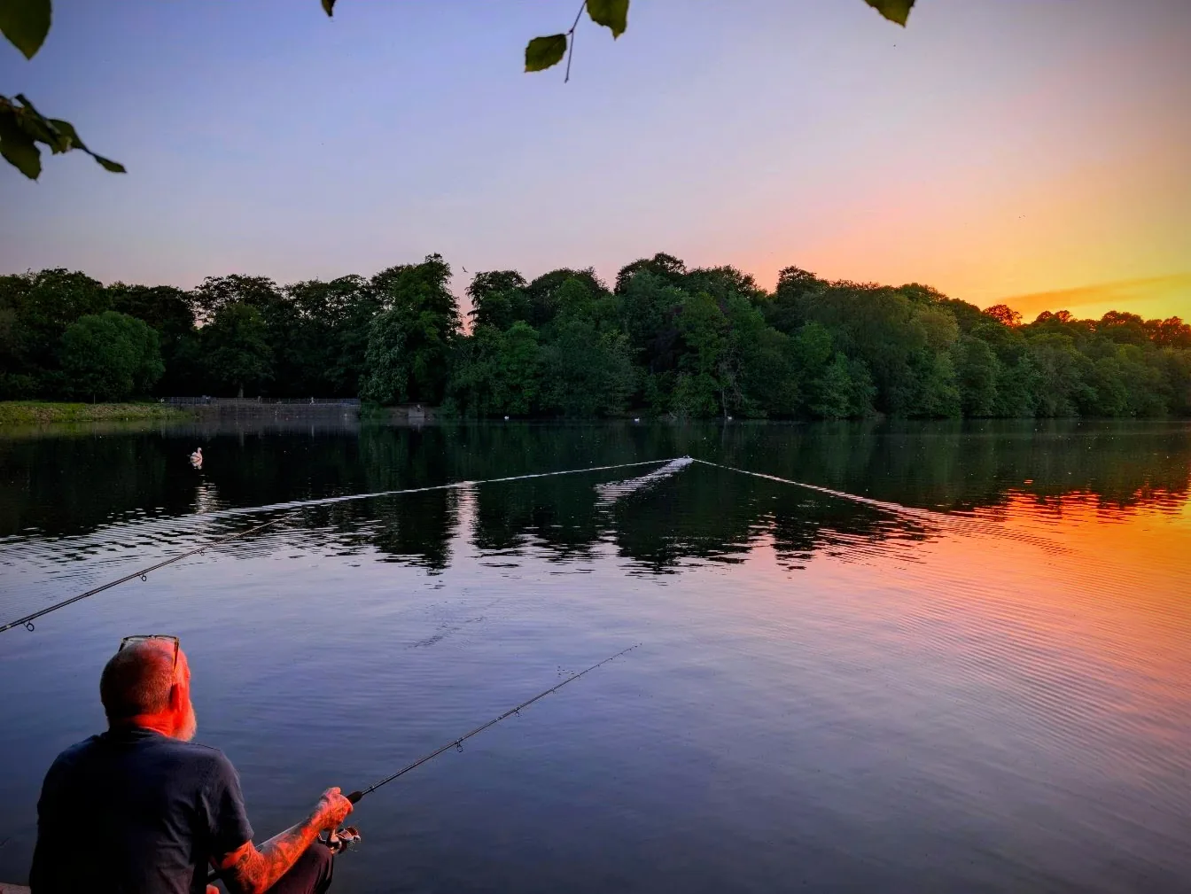Stillness at Lake's Edge